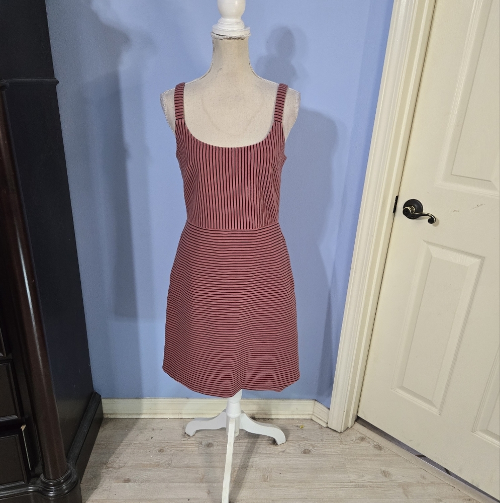 Loft Size 6 Womens Dress